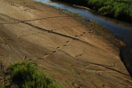 Kruger history: riverbank, Kruger National Park