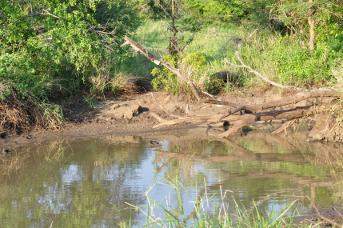 Kruger National Park malaria: lake