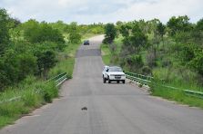 Road in Kruger National Park