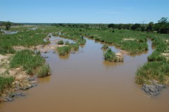 Kruger National Park river