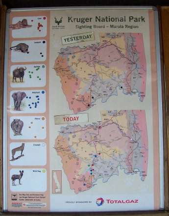 Kruger National Park sightings board