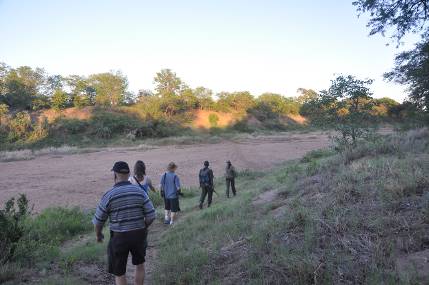 Kruger National Park morning walk