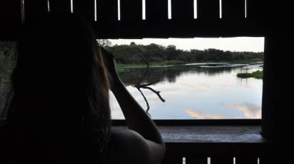 Lake Panic bird watching hide