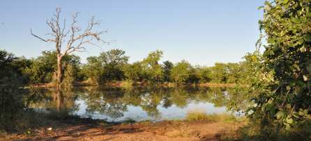Kruger National Park lake