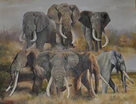 Magnificent Seven elephants